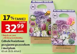 Auchan Cebule kwiatowe przyjazne pszczołom i motylom oferta