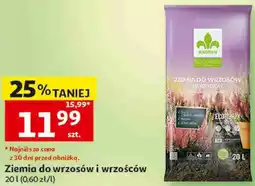 Auchan Ziemia do wrzosów i wrzośców Kronen oferta