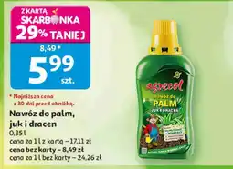 Auchan Nawóz do palm, juk i dracen Agrecol oferta