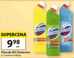 Auchan Domestos Płyn do WC oferta