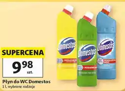 Auchan Płyn do WC Domestos oferta
