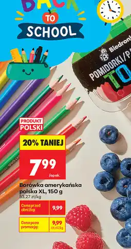 Biedronka Borówka amerykańska polska XL oferta