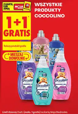 Biedronka Wszystkie produkty Coccolino oferta