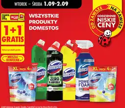 Biedronka Wszystkie produkty Domestos oferta