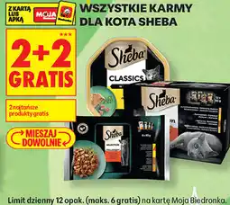 Biedronka Wszystkie karmy dla kota Sheba oferta