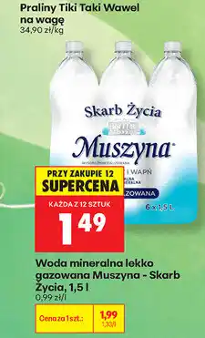 Biedronka Woda mineralna lekko gazowana Muszyna - Skarb Życia oferta