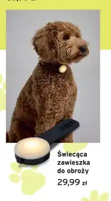 Tchibo Świecąca zawieszka do obroży oferta