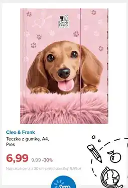 Smyk Teczka z gumką A4 Pies Cleo & Frank oferta