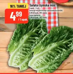 Polomarket Sałata rzymska mini oferta