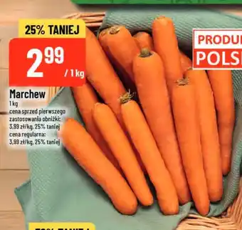 Polomarket Marchew oferta
