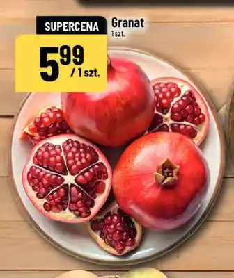Polomarket Granat oferta