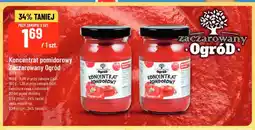Polomarket Koncentrat pomidorowy Zaczarowany Ogród oferta