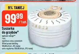 Polomarket Suszarka do grzybów oferta