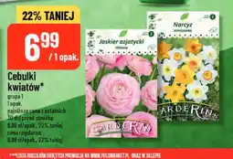 Polomarket Cebulki kwiatów Jaskier azjatycki różowy Garderin oferta