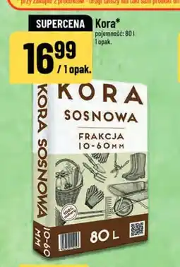 Polomarket Kora sosnowa oferta