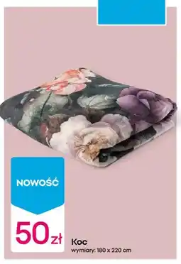 Pepco Koc 180x220 cm oferta