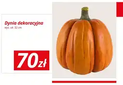 KiK Dynia dekoracyjna wys. ok. 32 cm oferta