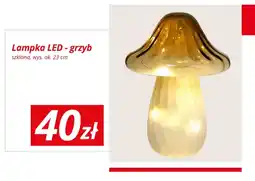 KiK Lampka LED grzyb szklana wys. ok. 23 cm oferta