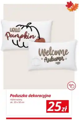 KiK Poduszka dekoracyjna ok. 30x50 cm oferta