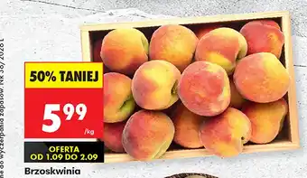Biedronka Brzoskwinie oferta