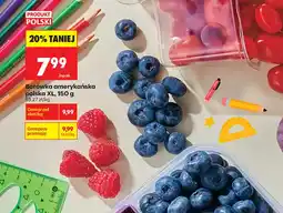 Biedronka Borówki amerykańskie polskie XL oferta