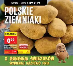 Biedronka Ziemniaki polskie jadalne oferta