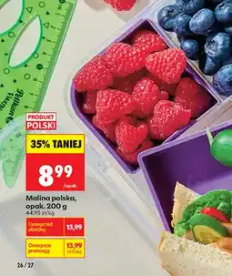 Biedronka Maliny polskie oferta