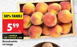 Biedronka Brzoskwinia oferta
