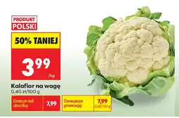Biedronka Kalafior oferta