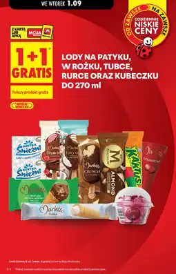 Biedronka Lody na patyku, w rożku, tubce, rurce oraz kubeczku oferta