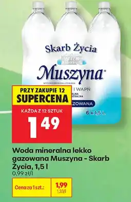 Biedronka Woda mineralna lekko gazowana Muszyna - Skarb Życia oferta