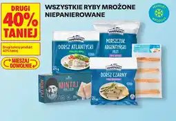 Biedronka Dorsz Atlantycki Filety bez skóry oferta