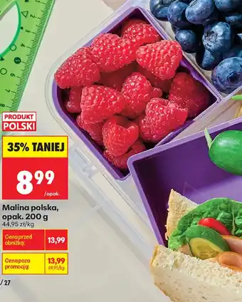 Biedronka Malina polska oferta