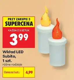 Biedronka Wkład LED Subito oferta