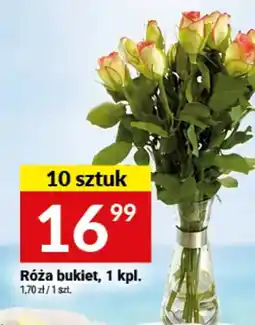 Twój Market Róża bukiet oferta