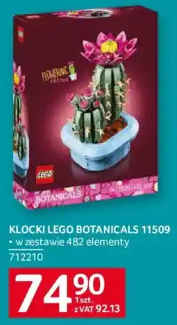 Selgros Klocki LEGO BOTANICALS 11509 oferta