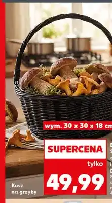 Kaufland Kosz na grzyby oferta