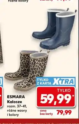 Kaufland Kalosze Esmara oferta