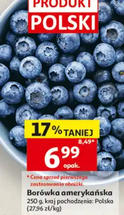 Auchan Borówka amerykańska Polski oferta