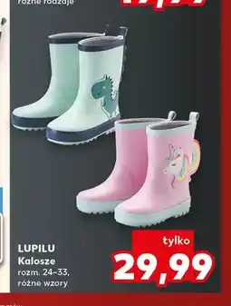 Kaufland Kalosze Lupilu oferta