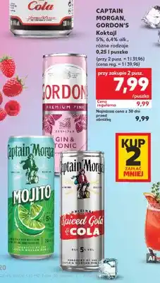 Kaufland Koktajl Gordon's Premium Pink Gin & Tonic oferta