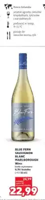 Kaufland Wino białe wytrawne Blue Fern Sauvignon Blanc Marlborough oferta