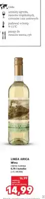 Kaufland Wino Linea Arica oferta