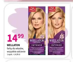 Drogerie Polskie Farba do włosów Wellaton Intense oferta