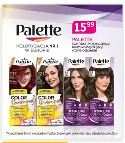Drogerie Polskie Szampon koloryzujący Palette oferta