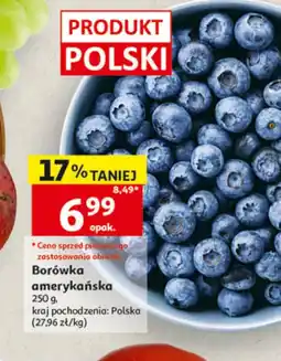 Auchan Borówka amerykańska Polski oferta