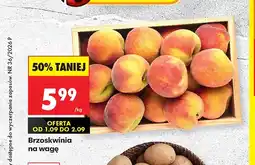 Biedronka Brzoskwinia oferta