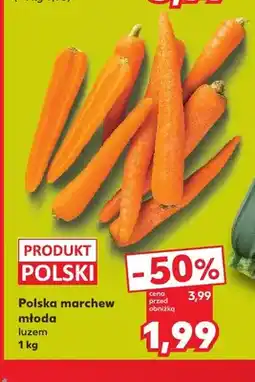 Kaufland Marchew młoda polska oferta