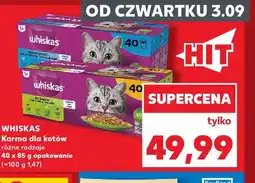 Kaufland Karma dla kotów Whiskas 40-pak oferta