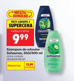 Biedronka Szampon Schauma oferta